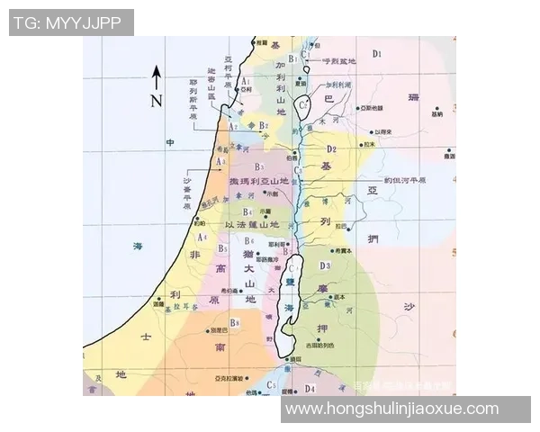 巴勤斯坦与约旦的精彩对决揭示中东足球的新格局与未来发展潜力